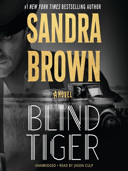 Cover image for Blind Tiger